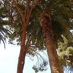 Aloe 2* ريثيمنو