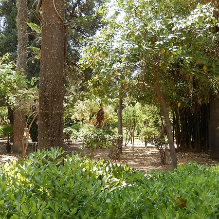 Aloe 2* Rethymno (Crete)