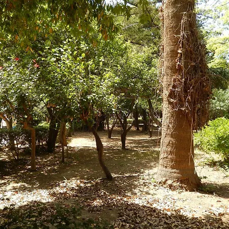 公寓式酒店 芦荟公寓酒店 罗希姆诺