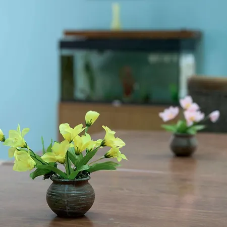 Aloe شقة فندقية 2*