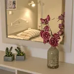 Aloe 2*