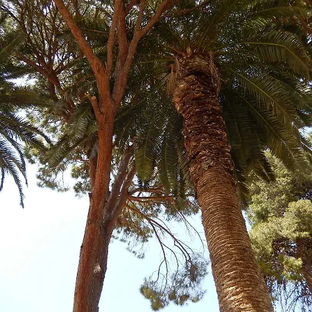 Aloe 2* Rethymno (Crete)
