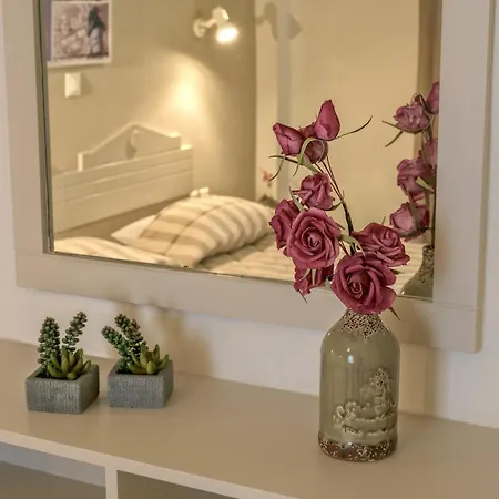 Aloe 2*