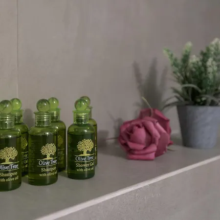 Aloe Aparthotel 2*
