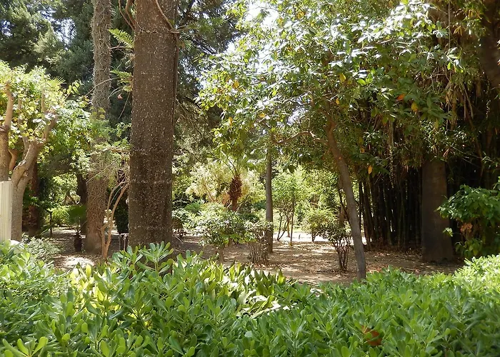 Aloe 2* Rethymno (Crete)