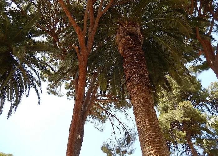 Aloe 2* Rethymno (Crete)